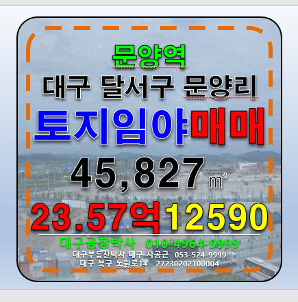 대구 달성군 다사읍 문양리 대구 달성군 다사읍 문양리 토지 임야 매매 매매 매물번호 12590 사진 1