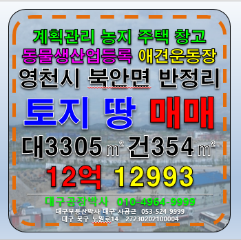 경북 영천시 북안면 반정리 경북 영천시 북안면 반정리 주택 토지 농지 땅 매매 매매 매물번호 12993 사진 1